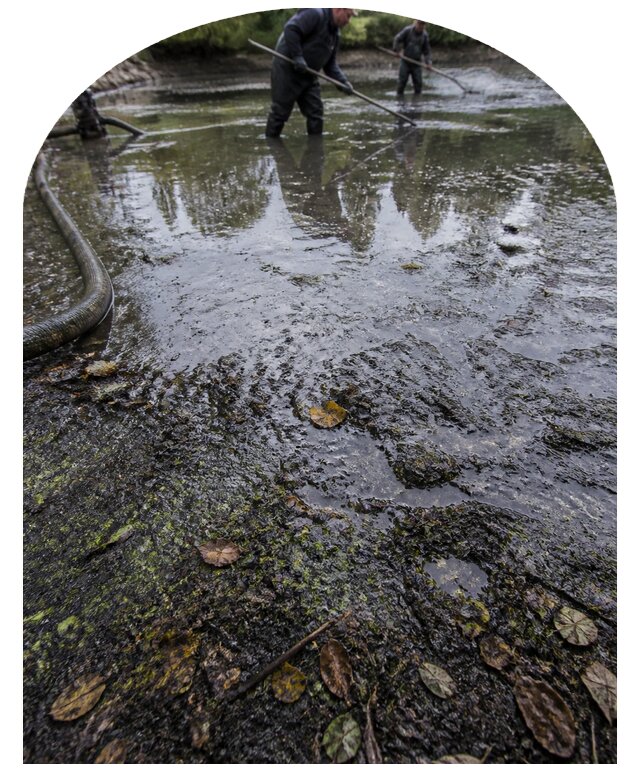 Очистка пруда в Ярославле от ила мусора и водорослей с вывозом